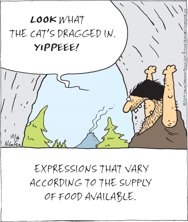 Publication OCR: LOOK WHAT THE CAT'S DRAGGED IN. YIPPEEE! EXPRESSIONS THAT VARY ACCORDING T0 THE SUPPLY OF FOOD AVAILABLE. © 2019 NIKLAS ERIKSSON/BULLSLOOK WHAT THE CAT'S DRAGGED IN. YIPPEEE! EXPRESSIONS THAT VARY ACCORDING T0 THE SUPPLY OF FOOD AVAILABLE. © 2019 NIKLAS ERIKSSON/BULLSDIST. BY KING FEATURES SYNDICATE