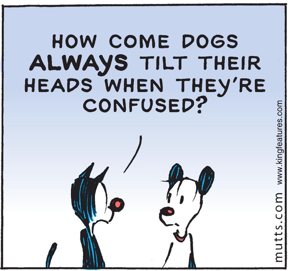 Fictional character OCR: HOW COME DOGS ALWAYS TILT THEIR HEADS WHEN THEY'RE CONFUSED? mutts.com www.kingfeatures.com HOW COME DOGS ALWAYS TILT THEIR HEADS WHEN THEY'RE CONFUSED? mutts.com www.kingfeatures.com