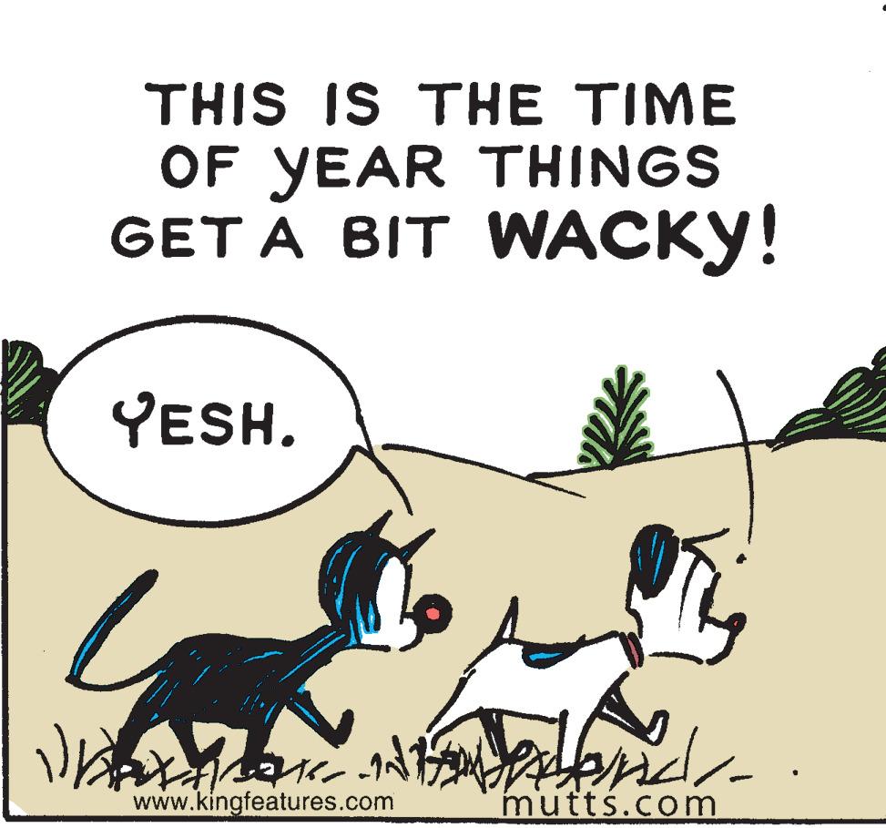 Plant OCR: THIS IS THE TIME OF YEAR THINGS GET A BIT WACKY! YESH. www.kingfeatures.com mutts.com THIS IS THE TIME OF YEAR THINGS GET A BIT WACKY! YESH. www.kingfeatures.com mutts.com