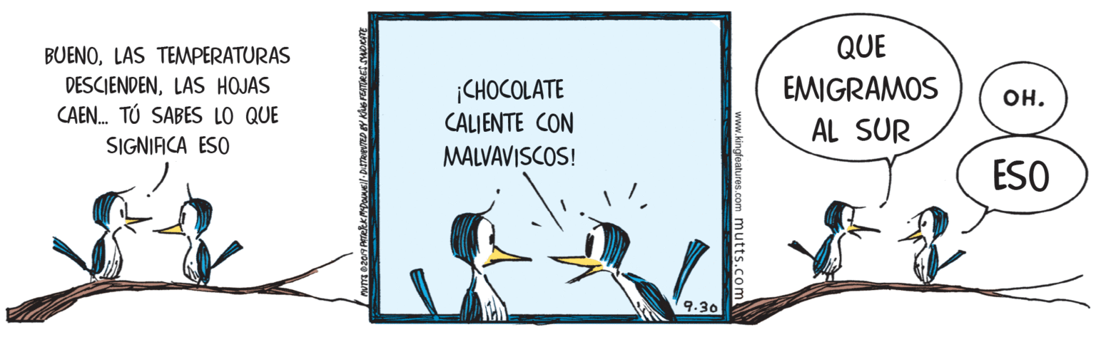 Flightless bird OCR: QUE BUENOLAS TEMPERATURAS DESCIENDENLAS HOJAS CAEN. TÚ SABES LO QUE EMIGRAMOS ¡CHOCOLATE CALIENTE CON ??. AL SUR SIGNIACA ESO MALVAVISCOS! ESO 9.30 www.kingfeatures.com mutts.com QUE BUENOLAS TEMPERATURAS DESCIENDENLAS HOJAS CAEN. TÚ SABES LO QUE EMIGRAMOS ¡CHOCOLATE CALIENTE CON ??. AL SUR SIGNIACA ESO MALVAVISCOS! ESO 9.30 www.kingfeatures.com mutts.com