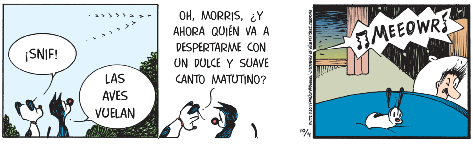 Art OCR: OH¿Y AHORA QUIÉN VA A MEEOWR DESPERTARME CON ¡SNIF! UN DULCE Y SUAVE LAS CANTO MATUTINO? AVES VUELAN 1/4 OH¿Y AHORA QUIÉN VA A MEEOWR DESPERTARME CON ¡SNIF! UN DULCE Y SUAVE LAS CANTO MATUTINO? AVES VUELAN 1/4