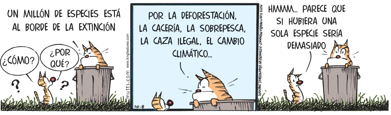 Drawing OCR: HMMM. PARECE QUE UN MILLÓN DE ESPECIES ESTÁ AL BORDE DE LA EXTINCIÓN POR LA DEFORESTACIÓNSI HUBIERA UNA SOLA ESPECIE SERÍA LA CAZA ILEGALEL CAMBIO CLIMÁTICO. DEMASIADO (¿CÓMO? ¿POR QUÉ? HMMM. PARECE QUE UN MILLÓN DE ESPECIES ESTÁ AL BORDE DE LA EXTINCIÓN POR LA DEFORESTACIÓNLA CACERÍALA SOBREPESCASI HUBIERA UNA SOLA ESPECIE SERÍA LA CAZA ILEGALEL CAMBIO CLIMÁTICO. DEMASIADO (¿CÓMO? ¿POR QUÉ?