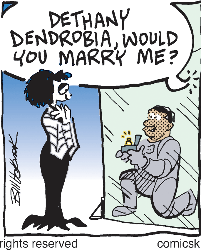 Font OCR: DETHANY DENDROBIAWOULD you MARRY ME? rights reserved comicski DETHANY DENDROBIAWOULD you MARRY ME? rights reserved comicski