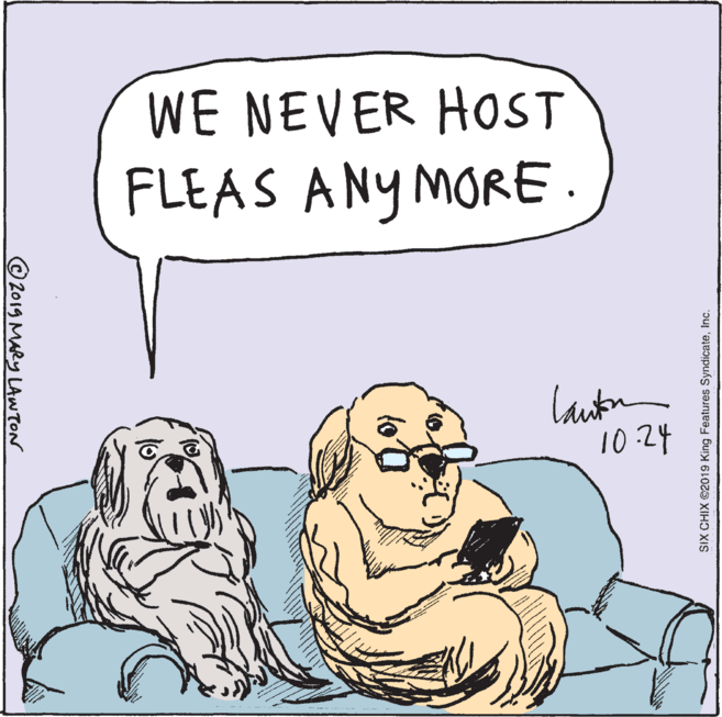 Dog breed OCR: WE NEVER HOST FLEAS ANY MORE. lauton 10:24 ©2019 MARY LANTON SIX CHIX @2019 King Features SyndicateInc. WE NEVER HOST FLEAS ANY MORE. lauton 10:24 ©2019 MARY LANTON SIX CHIX @2019 King Features Syndicate