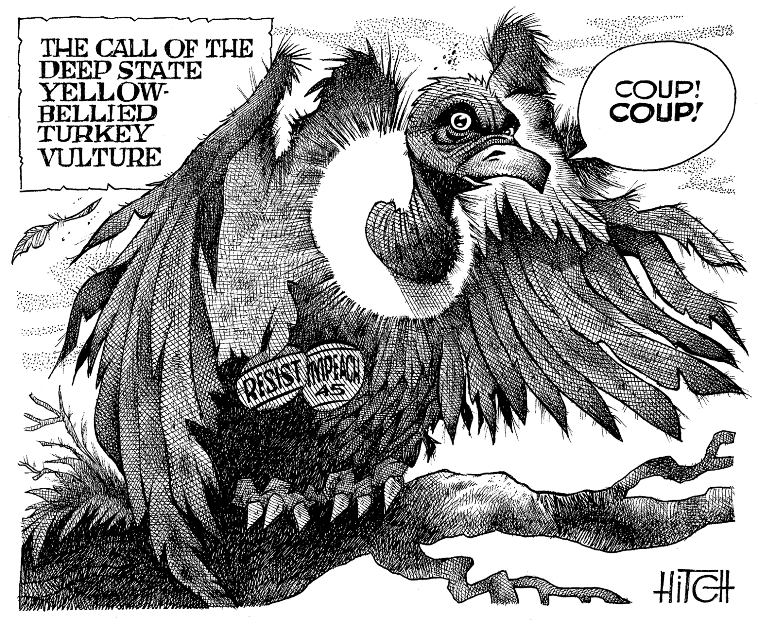 Accipitriformes OCR: THE CALL OF THE DEEP STATE YELLOW- BELLIED TURKEY VULTURE COUP! COUP! RESIS HITGH THE CALL OF THE DEEP STATE YELLOW- BELLIED TURKEY VULTURE COUP! COUP! RESIS HITGH