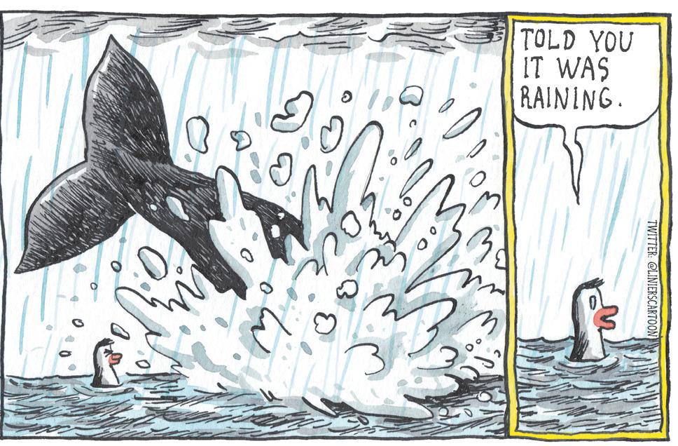 Bird OCR: TOLD YOU IT WAS RAINING. TWITTER: @LINIERSCARTOON TOLD YOU IT WAS RAINING. TWITTER: @LINIERSCARTOON