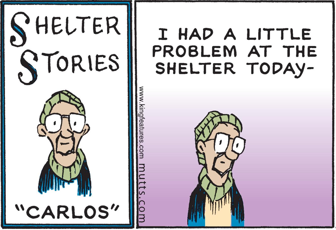 Rectangle OCR: SHELTER STORIES I HAD A LITTLE PROBLEM AT THE SHELTER TODAY- "CARLOS" www.kingfeatures.com mutts.com SHELTER STORIES I HAD A LITTLE PROBLEM AT THE SHELTER TODAY- "CARLOS" www.kingfeatures.com mutts.com