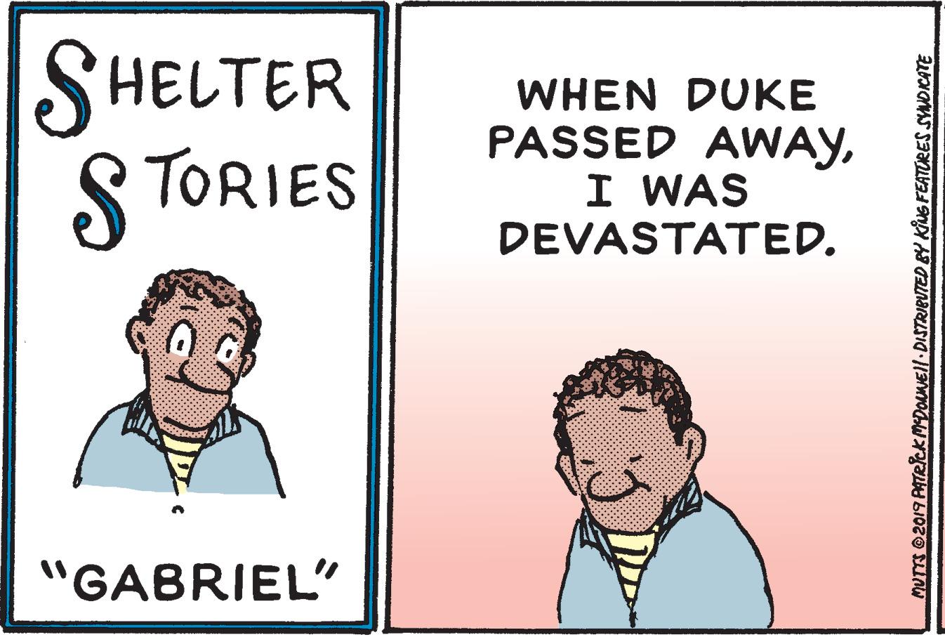 Sharing OCR: SHELTER S TORIES WHEN DUKE PASSED AWAYI WAS DEVASTATED. "GABRIEL" MUTTS 2019 ATRCK MDONNE|-DISTRIEUTED BY KING FEATORES SYNDICATE SHELTER S TORIES WHEN DUKE PASSED AWAYI WAS DEVASTATED. "GABRIEL" MUTTS 2019 ATRCK MDONNE|-DISTRIEUTED BY KING FEATORES SYNDICATE