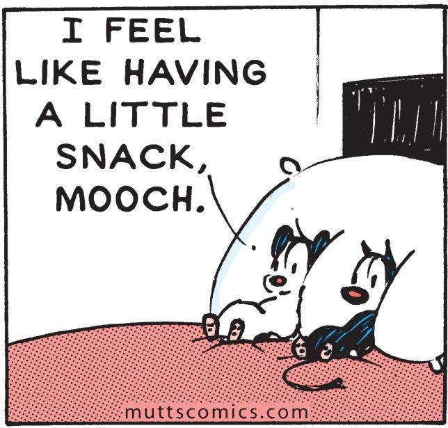 Tail OCR: I FEEL LIKE HAVING A LITTLE SNACKMOOCH. muttscomics.com I FEEL LIKE HAVING A LITTLE SNACKMOOCH. muttscomics.com