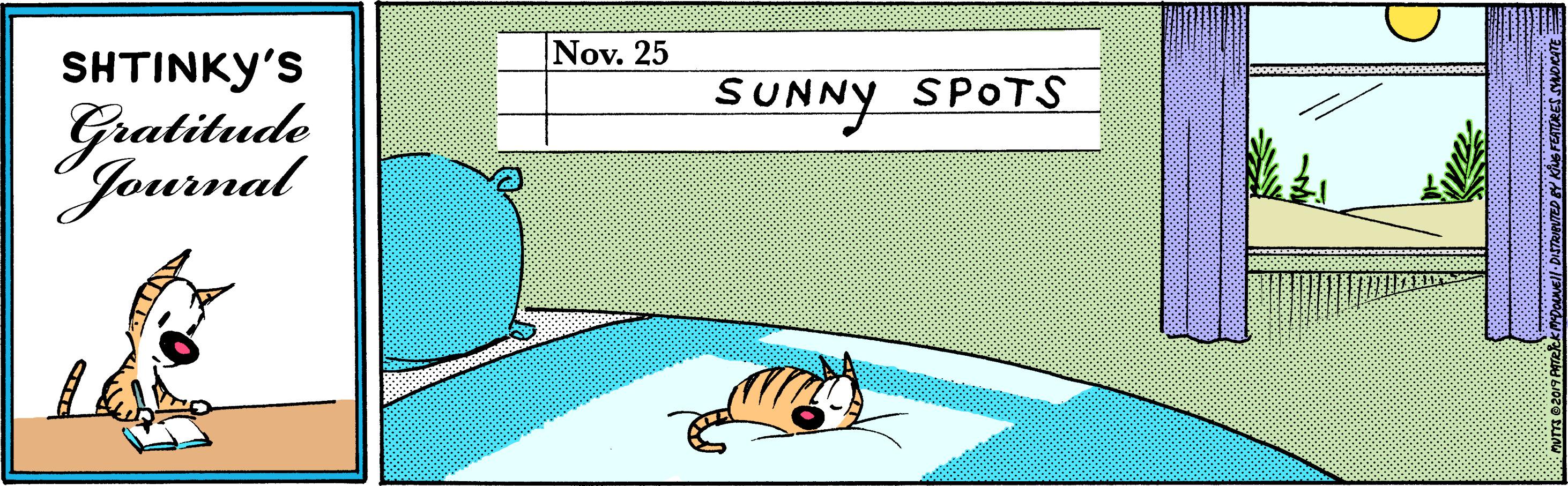 Recreation OCR: SHTINKY'S Nov. 25 Gratitude Journal SUNNY SPOTS SHTINKY'S Nov. 25 Gratitude Journal SUNNY SPOTS