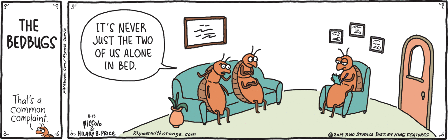 Graphics OCR: THE BEDBUGS IT'S NEVER JUST THE TWO OF US ALONE IN BED. That's a Common Complaint. Il-13 piccolo 2 HILARY B. PRIce RAymeswithorange.com O2019 RWo STUDIOS DIST. BY KING FEATURES THE BEDBUGS IT'S NEVER JUST THE TWO OF US ALONE IN BED. That's a Common Complaint. Il-13 piccolo 2 HILARY B. PRIce RAymeswithorange.com O2019 RWo STUDIOS DIST. BY KING FEATURES