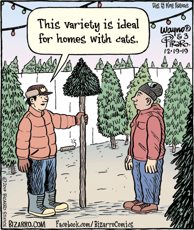 Art OCR: Dist. 9 King featuras This variety is ideal for homes with cats. Wayno® '&3 IR?RO. 12.19.19 fulk tylu BIZARRO.COM Facebook.com/BizarroComies ©2019 BIZARRO STUDIOS Dist. 9 King featuras This variety is ideal for homes with cats. Wayno® '&3 IR?RO. 12.19.19 fulk tylu BIZARRO.COM Facebook.com/BizarroComies ©2019 BIZARRO STUDIOS