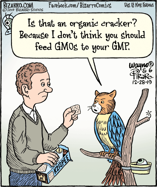 Illustration OCR: BIZARRO.COM © 2019 BIZARRO STUDIOS Facebook.com/BizarroComics Dist Y King Fatures Is that an organie cracker? Because I don't think you should feed GMOS to your GMP. Wayno 12-28.19 K2ISPEE BIZARRO.COM © 2019 BIZARRO STUDIOS Facebook.com/BizarroComics Dist Y King Fatures Is that an organie cracker? Because I don't think you should feed GMOS to your GMP. Wayno 12-28.19 K2ISPEE