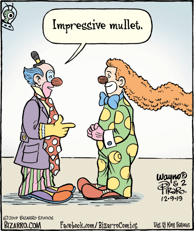 Comics OCR: Impressive mullet. Wayno® '& 2 TIR?RO. 12.9.19 © 2019 BIZARRO STUDIOS BIZARRO.COM Facebook.com/BizarroComies Dist. Y King features Impressive mullet. Wayno® '& 2 TIR?RO. 12.9.19 © 2019 BIZARRO STUDIOS BIZARRO.COM Facebook.com/BizarroComies Dist. Y King features