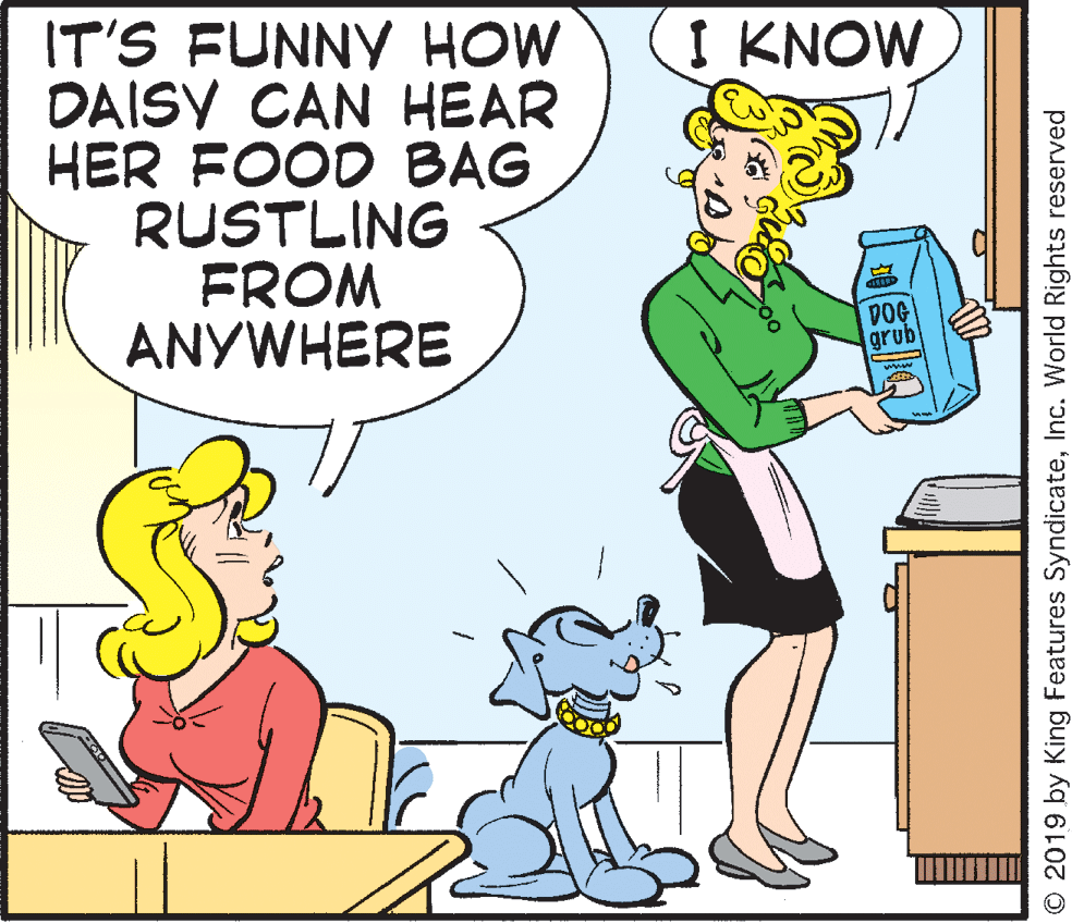 Interaction OCR: I KNOW IT'S FUNNY HOW DAISY CAN HEAR HER FOOD BAG RUSTLING FROM ANYWHERE DOG grub fo © 2019 by King Features SyndicateInc. World Rights reserved I KNOW IT'S FUNNY HOW DAISY CAN HEAR HER FOOD BAG RUSTLING FROM ANYWHERE DOG grub fo © 2019 by King Features SyndicateInc. World Rights reserved