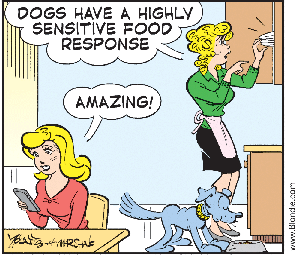 Rectangle OCR: DOGS HAVE A HIGHLY SENSITIVE FOOD RESPONSE AMAZING! www.Blondie.com DOGS HAVE A HIGHLY SENSITIVE FOOD RESPONSE AMAZING! www.Blondie.com