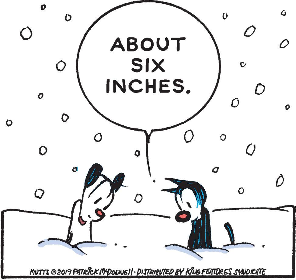 Liquid OCR: ABOUT SIX INCHES. MUTTS ©2019 PATRICKMEDOUNEl DISTRIBUTED BY KING FEATERES SYANDICATE ABOUT SIX INCHES. MUTTS ©2019 PATRICKMEDOUNEl DISTRIBUTED BY KING FEATERES SYANDICATE