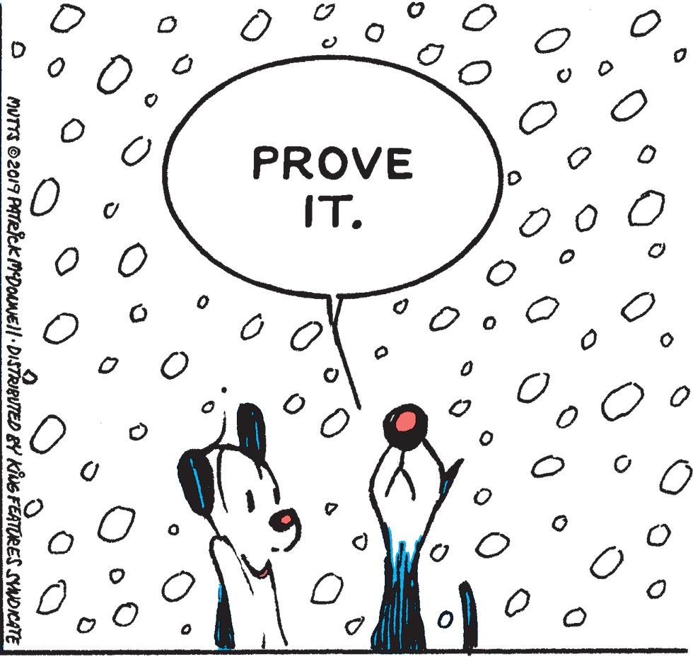 Art OCR: PROVE IT. MUTTS ©2019 PATRICK MDOMEII DISTRIBUTED BY KING FEATURES SYNDICATE PROVE IT. MUTTS ©2019 PATRICK MDOMEII DISTRIBUTED BY KING FEATURES SYNDICATE