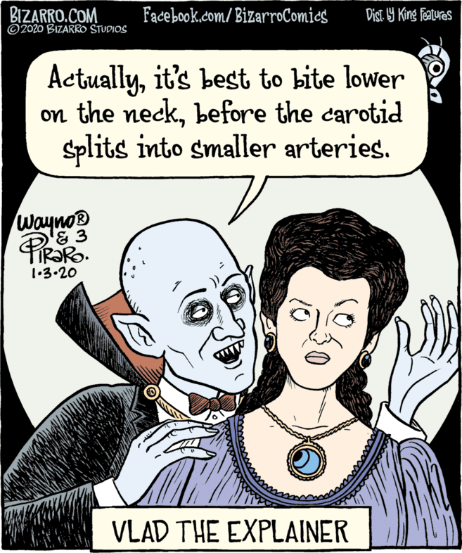 White OCR: BIZARRO.COM © 2020 BIZARRO STUDIOS Fadebook.com/ BizarroComics Dist. Y King Featuras Actuallyit's best to bite lower on the neckbefore the carotid Splits into smaller arteries. Wayno® 1•3.20 VLAD THE EXPLAINER BIZARRO.COM © 2020 BIZARRO STUDIOS Fadebook.com/ BizarroComics Dist. Y King Featuras Actuallyit's best to bite lower on the neckbefore the carotid Splits into smaller arteries. Wayno® 1•3.20 VLAD THE EXPLAINER