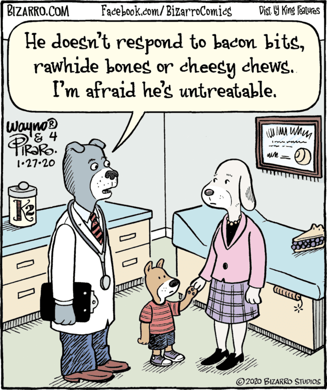 Parallel OCR: BIZARRO.COM Facebook.com/ BizarroComics Dist Y King Fatures He doesn't respond to bacon bitsrawhide bones or cheesy chews. I'm afraid he's untreatable. Waynos 31•27.20 ©2020 BIZARRO STUDIOS BIZARRO.COM Facebook.com/ BizarroComics Dist Y King Fatures He doesn't respond to bacon bitsrawhide bones or cheesy chews. I'm afraid he's untreatable. Waynos 31•27.20 ©2020 BIZARRO STUDIOS
