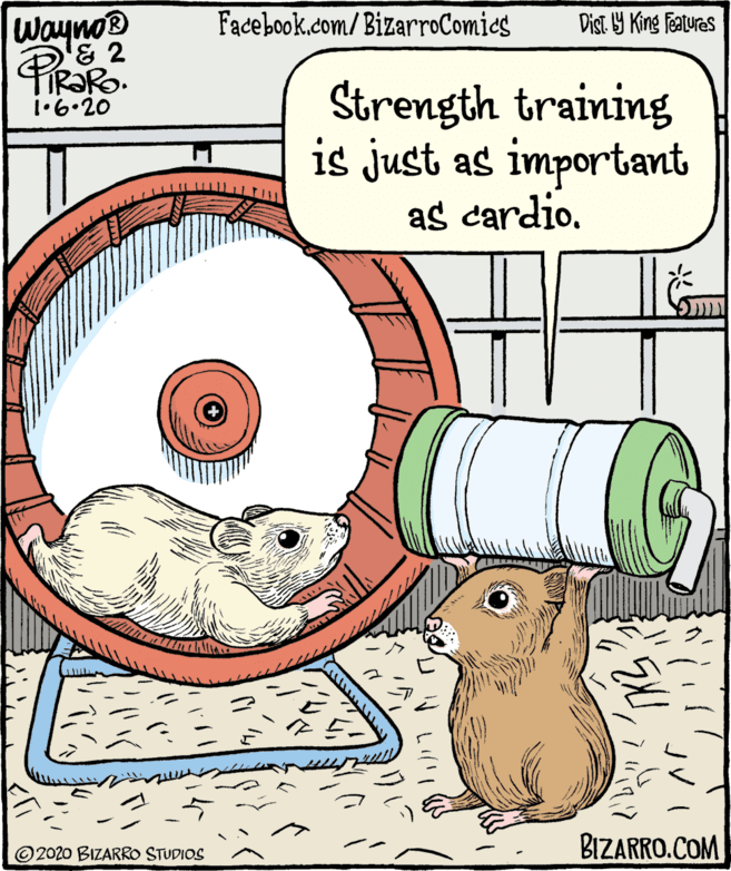 Graphics OCR: wayno® Facebook.com/BizarroComics Dist Y King Fatures Strength training is just as important as cardio. 1•6•20 ©2020 BIZARRO STUDIOS BIZARRO.COM wayno® Facebook.com/BizarroComics Dist Y King Fatures Strength training is just as important as cardio. 1•6•20 ©2020 BIZARRO STUDIOS BIZARRO.COM