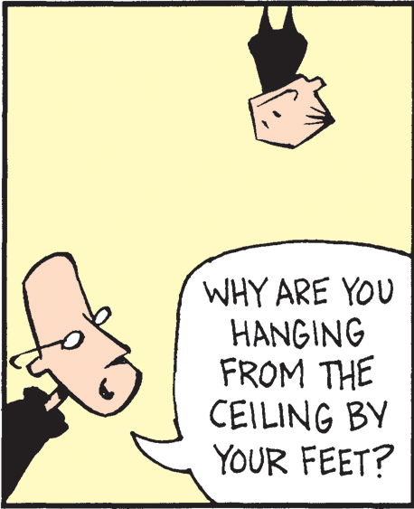 Art OCR: WHY ARE YOU HANGING FROM THE CEILING BY YOUR FEET? WHY ARE YOU HANGING FROM THE CEILING BY YOUR FEET?
