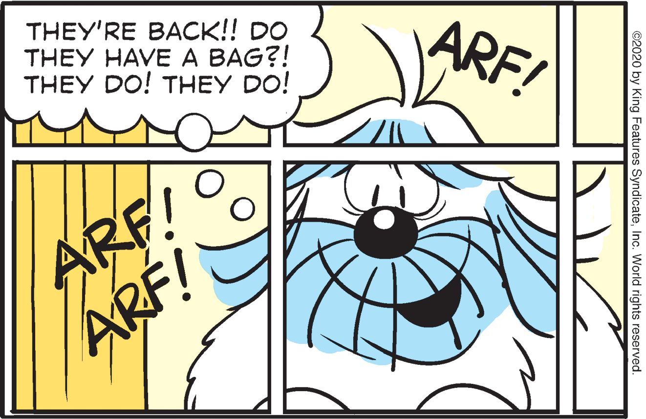 Drawing OCR: THEY'RE BACK!! DO THEY HAVE A BAG?! THEY DO! THEY DO! ARF! ARE! ARF! ©2020 by King Features SyndicateInc. World rights reserved. THEY'RE BACK!! DO THEY HAVE A BAG?! THEY DO! THEY DO! ARF! ARE! ARF! ©2020 by King Features SyndicateInc. World rights reserved.