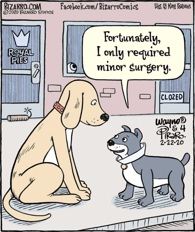 Working animal OCR: BIZARRO.COM © 2020 BIZARRO STUDIOS Facebook.com/BizarroComics Dist Y King Features FortunatelyI only required minor surgery. ?? ROYAL PIES |CLO2ED Wayno® 2-22-20 BIZARRO.COM © 2020 BIZARRO STUDIOS Facebook.com/BizarroComics Dist Y King Features FortunatelyI only required minor surgery. ? ? ROYAL PIES |CLO2ED Wayno® 2-22-20