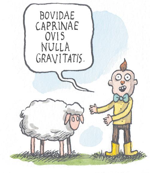 Font OCR: BOVIDAE CAPRINAE OVIS NULLA GRAVITATIS. BOVIDAE CAPRINAE OVIS NULLA GRAVITATIS.