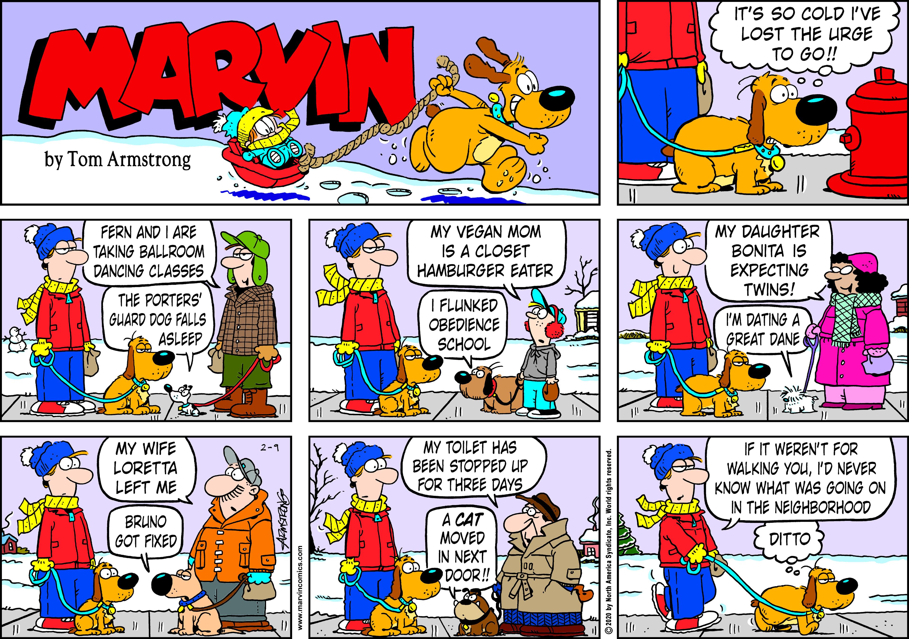 Parallel OCR: IT'S SO COLD I'VE LOST THE URGE TO GO!! MARVIN by Tom Armstrong FERN AND I ARE TAKING BALLROOM DANCING CLASSES MY VEGAN MOM IS A CLOSET HAMBURGER EATER MY DAUGHTER BONITA IS EXPECTING TWINS! THE PORTERS' GUARD DOG FALLS ASLEEP I FLUNKED OBEDIENCE SCHOOL I'M DATING A GREAT DANE IF IT WEREN'T FOR WALKING YOUI'D NEVER KNOW WHAT WAS GOING ON IN THE NEIGHBORHOOD MY WIFE LORETTA LEFT ME MY TOILET HAS BEEN STOPPED UP FOR THREE DAYS A CAT MOVED IN NEXT DOOR! BRUNO GOT FIXED DITTO ©2020 by North America SyndicateInc. World rights reserve IT'S SO COLD I'VE LOST THE URGE TO GO!! MARVIN by Tom Armstrong FERN AND I ARE TAKING BALLROOM DANCING CLASSES MY VEGAN MOM IS A CLOSET HAMBURGER EATER MY DAUGHTER BONITA IS EXPECTING TWINS! THE PORTERS' GUARD DOG FALLS ASLEEP I FLUNKED OBEDIENCE SCHOOL I'M DATING A GREAT DANE IF IT WEREN'T FOR WALKING YOUI'D NEVER KNOW WHAT WAS GOING ON IN THE NEIGHBORHOOD MY WIFE LORETTA LEFT ME MY TOILET HAS BEEN STOPPED UP FOR THREE DAYS A CAT MOVED IN NEXT DOOR! BRUNO GOT FIXED DITTO ©2020 by North America SyndicateInc. World rights reserve