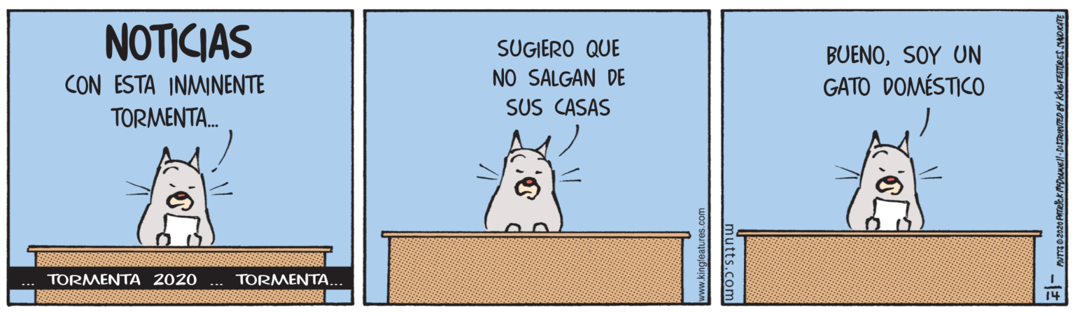 Art OCR: NOTICIAS SUGIERO QUE NO SALGAN DE BUENOSOY UN GATO DOMÉSTICO CON ESTA INMINENTE TORMENTA. SUS CASAS TORMENTA 2020 TORMENTA. NOTICIAS SUGIERO QUE NO SALGAN DE BUENOSOY UN GATO DOMÉSTICO CON ESTA INMINENTE TORMENTA. SUS CASAS TORMENTA 2020 TORMENTA.