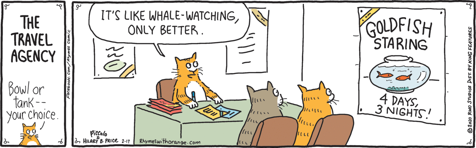 Small to medium-sized cats OCR: IT'S LIKE WHALE-WATCHINGONLY BETTER. THE TRAVEL AGENCY GOLDFISH STARING Bowl or tank-- Your choice. 4 DAYS3 NIGHTS! )?:1? Piccolo a HILARY B. PRIce 2-17 ??? ???: RAymeSwithorange.com ©2020 RWO STUDIOS DIST. BY KING FEATURES IT'S LIKE WHALE-WATCHINGONLY BETTER. THE TRAVEL AGENCY GOLDFISH STARING Bowl or tank-- Your choice. 4 DAYS3 NIGHTS! )?:1? Piccolo a HILARY B. PRIce 2-17 ??? ???: RAymeSwithorange.com ©2020 RWO STUDIOS DIST. BY KING FEATURES
