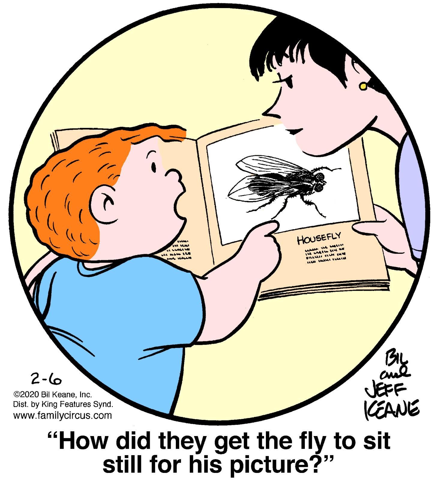 Happy OCR: HOUSEFLY JA L I BIL JEFF KEANE "How did they get the fly to sit 2-6 ©2020 Bil KeaneInc. Dist. by King Features Synd. www.familycircus.com still for his picture?" HOUSEFLY JA L I BIL JEFF KEANE "How did they get the fly to sit 2-6 ©2020 Bil KeaneInc. Dist. by King Features Synd. www.familycircus.com still for his picture?"