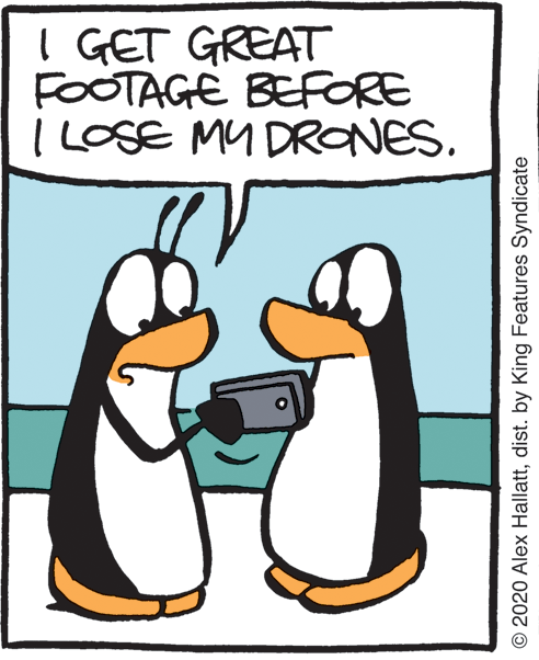 Photo caption OCR: I GET GREAT FOOTAGE BEFORE I LOSE MY DRONES. © 2020 Alex Hallattdist. by King Features Syndicate I GET GREAT FOOTAGE BEFORE I LOSE MY DRONES. © 2020 Alex Hallattdist. by King Features Syndicate