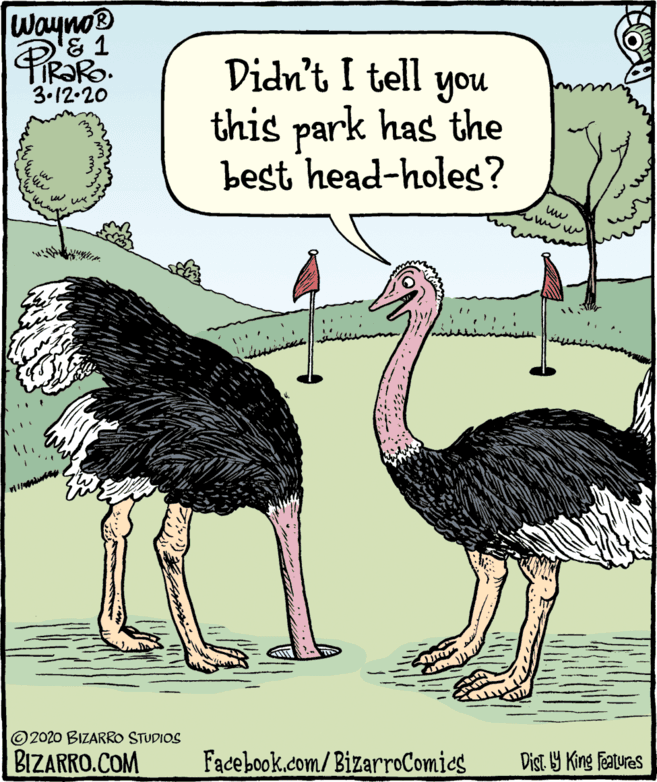 Casuariiformes OCR: wayno® '& 1 TIR?RO. 3.12.20 Didn't I tell you this park has the best head-holes? © 2020 BIZARRO STUDIOS BIZARRO.COM Facebook.com/BizarroComies Dist. Y King features wayno® '& 1 TIR?RO. 3.12.20 Didn't I tell you this park has the best head-holes? © 2020 BIZARRO STUDIOS BIZARRO.COM Facebook.com/BizarroComies Dist. Y King features