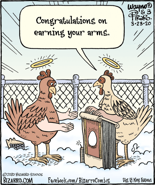 Illustration OCR: Wayno® &3 FIR?RO. 3.23.20 Congratulations on earning your arms. © 2020 BIZARRO STUDIOS BIZARRO.COM Facebook.com/BizarroComies Dist. Y King features Wayno® &3 FIR?RO. 3.23.20 Congratulations on earning your arms. © 2020 BIZARRO STUDIOS BIZARRO.COM Facebook.com/BizarroComies Dist. Y King features