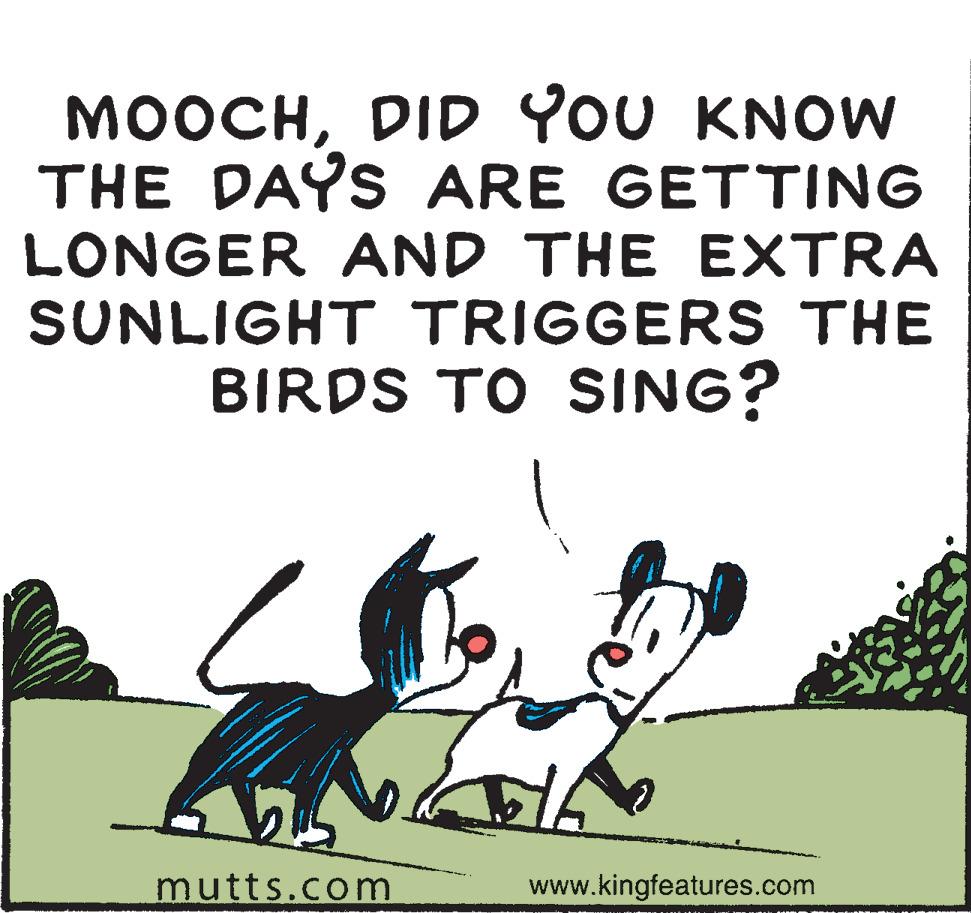 Art OCR: MOOCHDID YOU KNOW THE DAYS ARE GETTING LONGER AND THE EXTRA SUNLIGHT TRIGGERS THE BIRDS TO SING? mutts.com www.kingfeatures.com MOOCHDID YOU KNOW THE DAYS ARE GETTING LONGER AND THE EXTRA SUNLIGHT TRIGGERS THE BIRDS TO SING? mutts.com www.kingfeatures.com