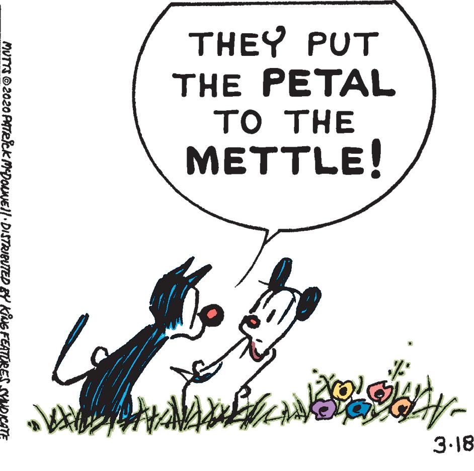 Fictional character OCR: THEY PUT THE PETAL TO THE METTLE! 3.18 MUTTS2020 PATRICK MDOuNEll DISTRIBUTED BY KNG FEATURES YOKATE THEY PUT THE PETAL TO THE METTLE! 3.18 MUTTS2020 PATRICK MDOuNEll DISTRIBUTED BY KNG FEATURES YOKATE