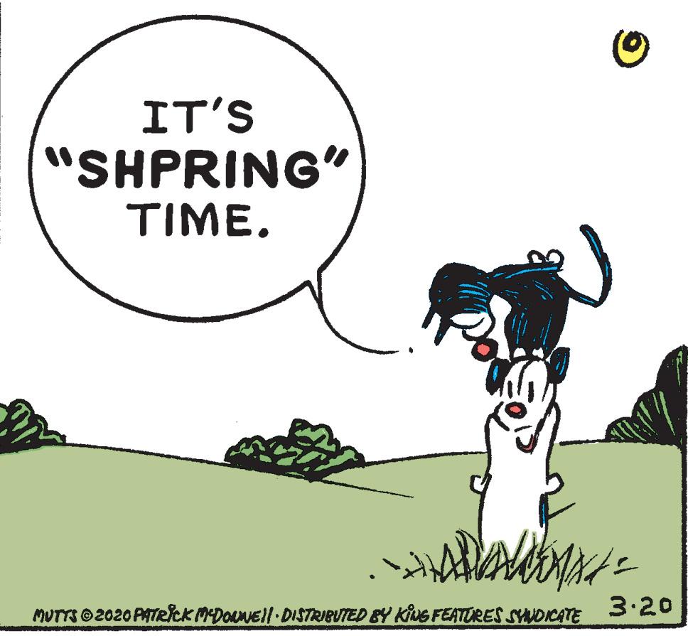 Parallel OCR: IT'S "SHPRING" TIME. MUTTS O2020 PATRCK MDONEil DISTRIBUTED BY KING FEATURES SYNDICATE 3.20 IT'S "SHPRING" TIME. MUTTS O2020 PATRCK MDONEil DISTRIBUTED BY KING FEATURES SYNDICATE 3.20