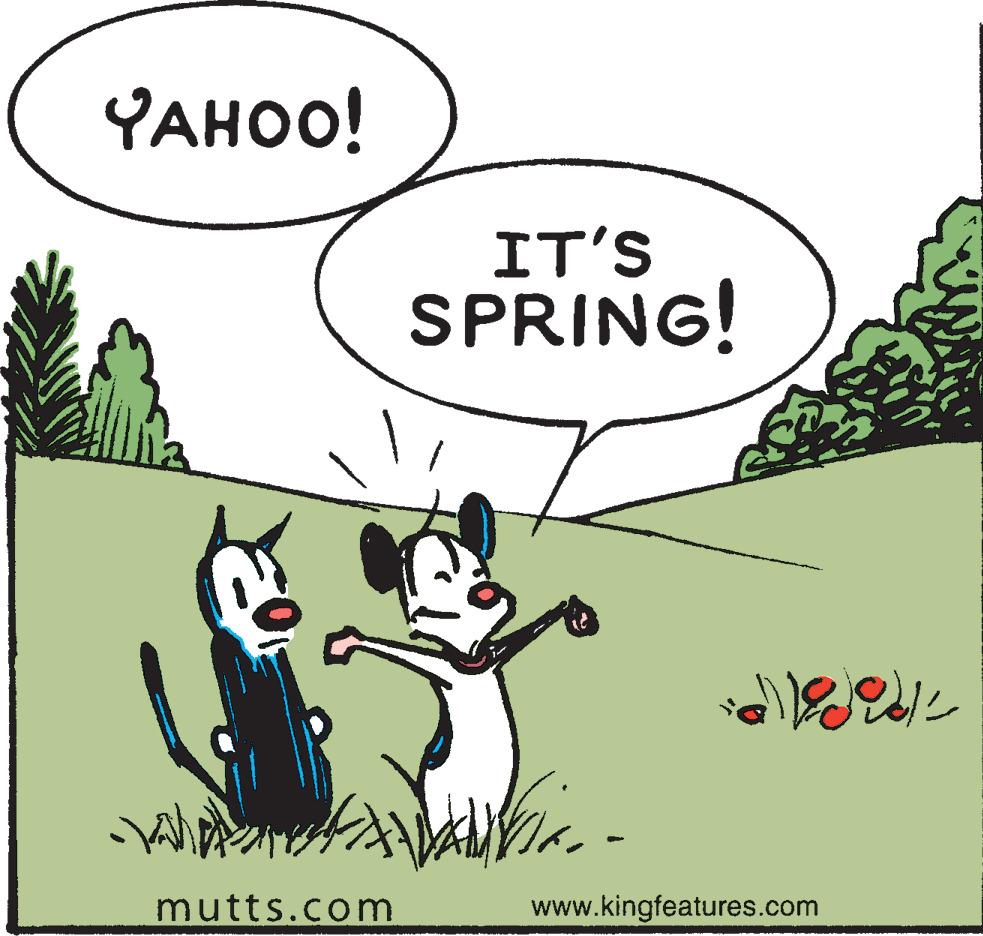 Parallel OCR: YAHOO! IT'S SPRING! mutts.com www.kingfeatures.com YAHOO! IT'S SPRING! mutts.com www.kingfeatures.com