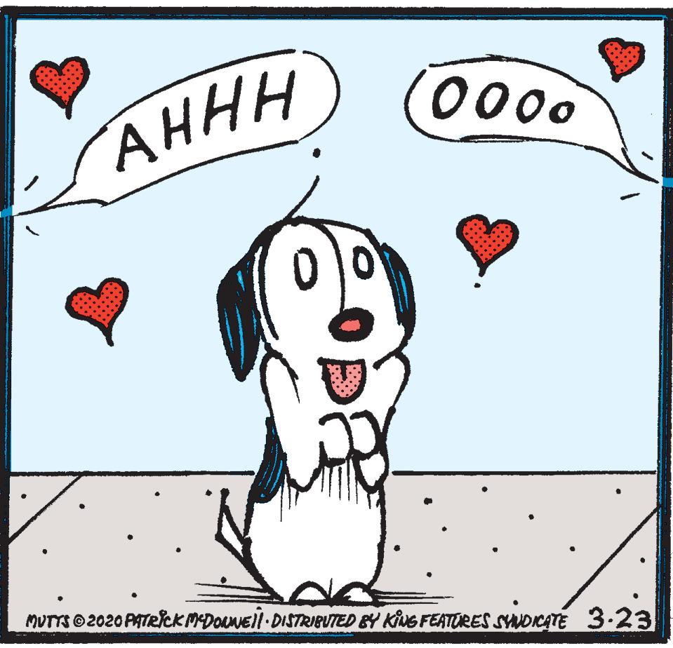 Photo caption OCR: 0000 ??? MUTTS 2020 PATECKMEDOANEll DISTRIBUTED BY KING FEATURES SWOKATE 3.23 0000 ??? MUTTS 2020 PATECKMEDOANEll DISTRIBUTED BY KING FEATURES SWOKATE 3.23