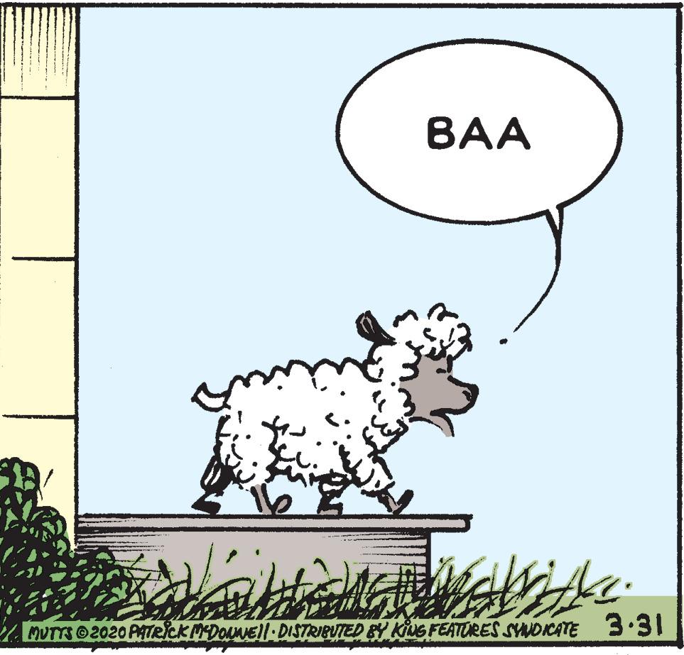 Art OCR: BA? A MUTTS O2020 PATRICK MDONEll DISTRIBUTED BY KiNG FEATORES SYNDICATE 3:3I BA? A MUTTS O2020 PATRICK MDONEll DISTRIBUTED BY KiNG FEATORES SYNDICATE 3:3I