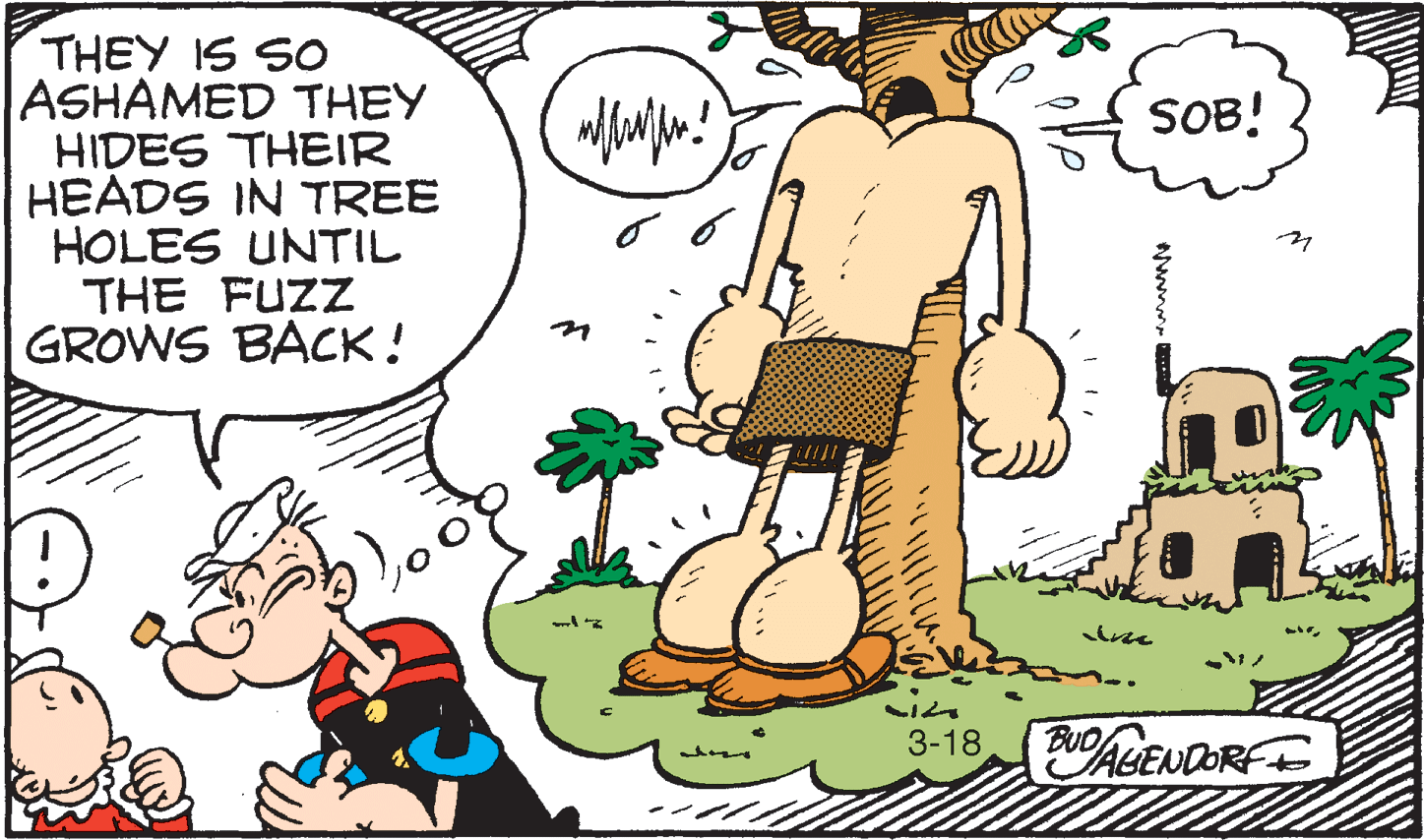 Humour OCR: THEY IS SO ASHAMED THEY HIDES THEIR HEADS IN TREE HOLES UNTIL THE FUZZ GROWS BACK! SOB! BAGENDORFE BUDA 3-18 THEY IS SO ASHAMED THEY HIDES THEIR HEADS IN TREE HOLES UNTIL THE FUZZ GROWS BACK! SOB! BAGENDORFE BUDA 3-18