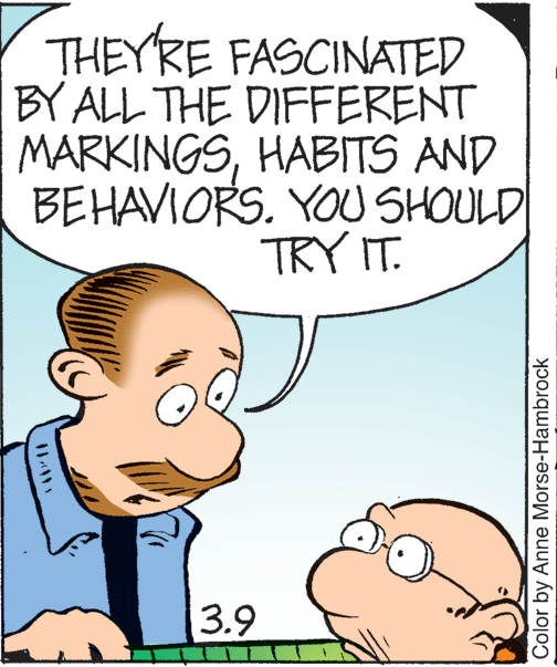 Jaw OCR: THEYRE FASCINATED BY ALL THE DIFFERENT MARKINGSHABITS AND BEHAVIORS. YOU SHOULD TRY IT. 3.9 *** Color by Anne Morse-Hambrock THEYRE FASCINATED BY ALL THE DIFFERENT MARKINGSHABITS AND BEHAVIORS. YOU SHOULD TRY IT. 3.9 *** Color by Anne Morse-Hambrock