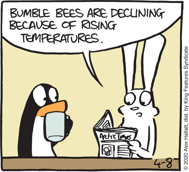 Flightless bird OCR: BUMBLE BEES ARE DECUNING BECAUSE OF RISING TEMPERATURES. ActicTio © 2020 Alex Hallattdist. by King Features Syndicate BUMBLE BEES ARE DECUNING BECAUSE OF RISING TEMPERATURES. ActicTio © 2020 Alex Hallattdist. by King Features Syndicate