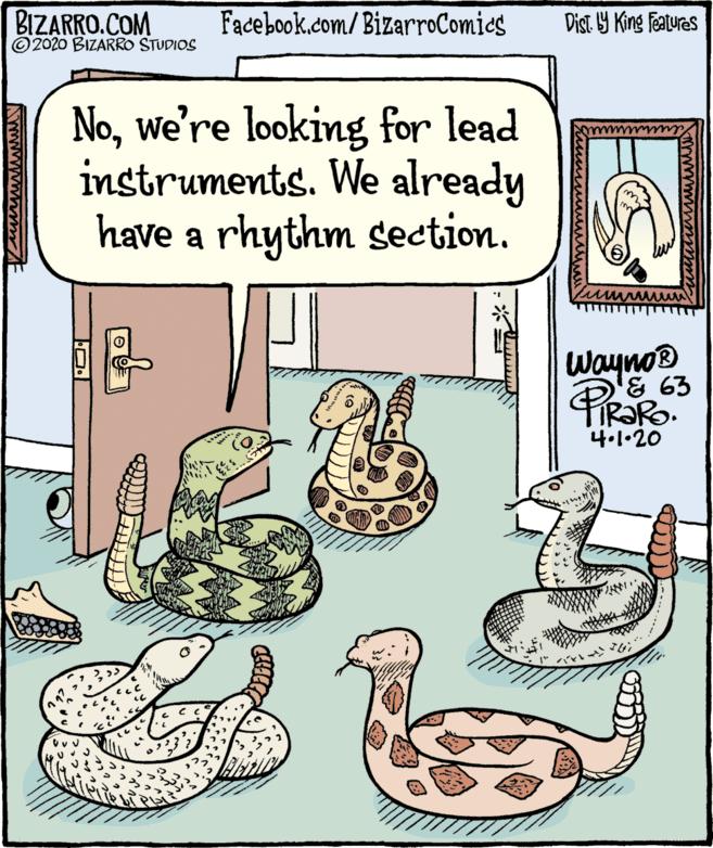 Rectangle OCR: BIZARRO.COM © 2020 BIZARRO STUDIOS Facebook.com/BizarroComics Dist Y King Fatures Nowe're looking for lead instruments. We already have a rhythm section. Wayno & 63 4.1-20 wwww mt BIZARRO.COM © 2020 BIZARRO STUDIOS Facebook.com/BizarroComics Dist Y King Fatures Nowe're looking for lead instruments. We already have a rhythm section. Wayno & 63 4.1-20 wwww mt