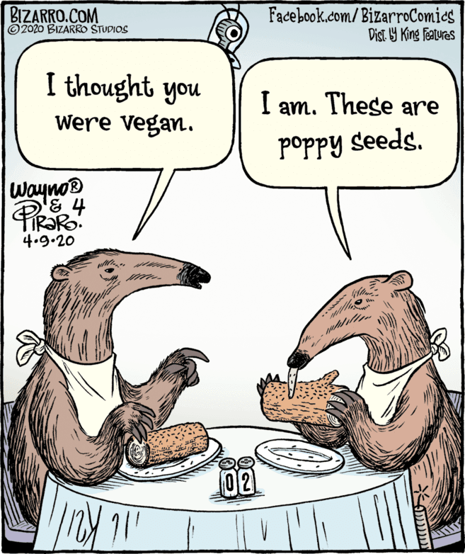 Rectangle OCR: BIZARRO.COM © 2020 BIZARRO STUDIOS Facebook.com/BizarroComics Dist 9 King features I thought you I am. These are Were vegan. poppy seeds. Wayno® & 4 4.9.20 02 BIZARRO.COM © 2020 BIZARRO STUDIOS Facebook.com/BizarroComics Dist 9 King features I thought you I am. These are Were vegan. poppy seeds. Wayno® & 4 4.9.20 02