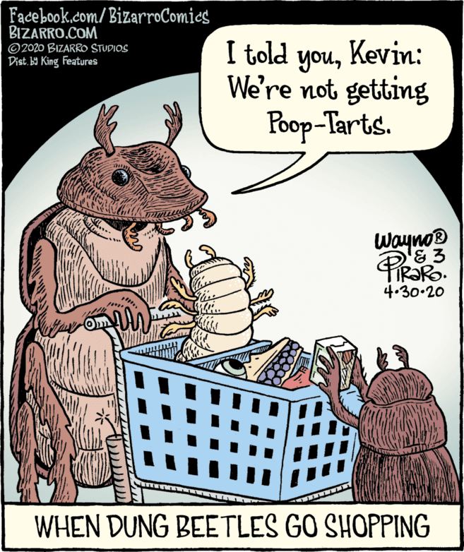 Fiction OCR: Facebook.com/BizarroComics BIZARRO.COM © 2020 BIZARRO STUDIOS Dist. ba King Features I told youKevin: We're not getting Poop-Tarts. Wayno® PRaRo FIR?RO. 4.30.20 WHEN DUNG BEETLES GO SHOPPING Facebook.com/BizarroComics BIZARRO.COM © 2020 BIZARRO STUDIOS Dist. ba King Features I told youKevin: We're not getting Poop-Tarts. Wayno® PRaRo FIR?RO. 4.30.20 WHEN DUNG BEETLES GO SHOPPING