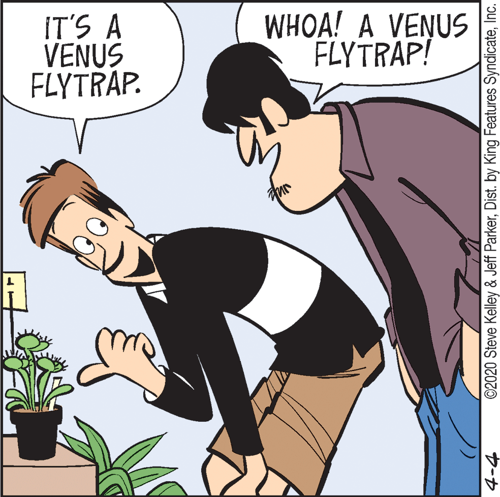 Animation OCR: IT'S A VENUS FLYTRAP. WHOA! A VENUS FLYTRAP! ©2020 Steve Kelley & Jeff ParkerInc. IT'S A VENUS FLYTRAP. WHOA! A VENUS FLYTRAP! ©2020 Steve Kelley & Jeff ParkerDist. by King Features Syndicate