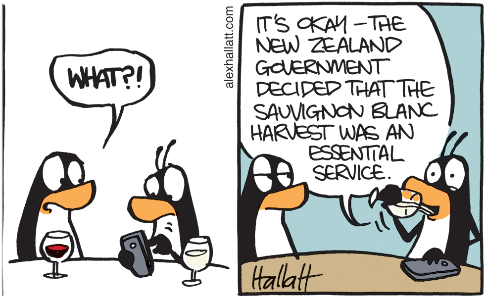 Fictional character OCR: IT'S OKAM -TAE NEW ZEALAND GOVERNMENT DECIDED THAT THE SAUVIGNON BLANC HARVEST WAS AN ESSENTTAL SERVICE. | WHAT?! tallaft alexhallatt.com IT'S OKAM -TAE NEW ZEALAND GOVERNMENT DECIDED THAT THE SAUVIGNON BLANC HARVEST WAS AN ESSENTTAL SERVICE. | WHAT?! tallaft alexhallatt.com